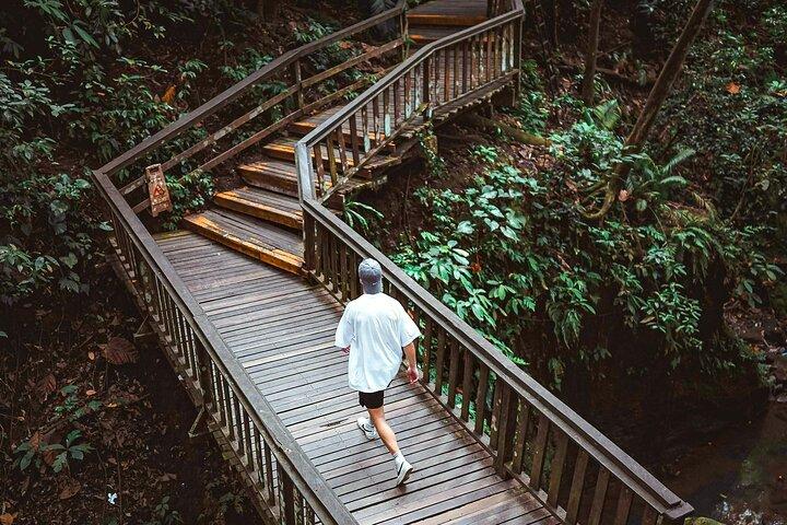 Ubud Tour With Sacred Monkey Forest Sanctuary - Waterfall - Rice Terrace