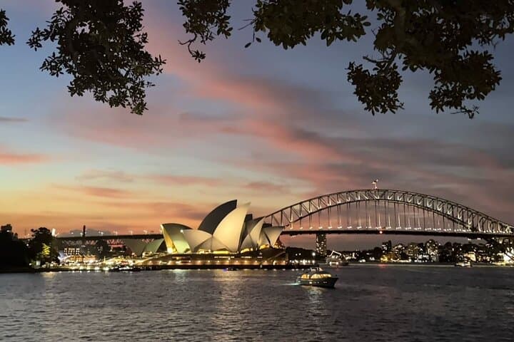 Sydney Panoramic Big Bus Night Tour with Live Guide