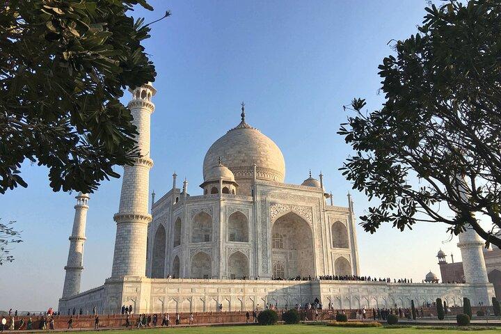 Taj Mahal, Agra Fort and Baby Taj Day Trip from Agra by Car