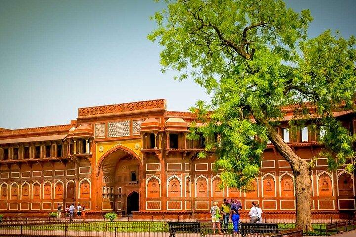 Taj Mahal, Agra Fort and Baby Taj Day Trip from Agra by Car