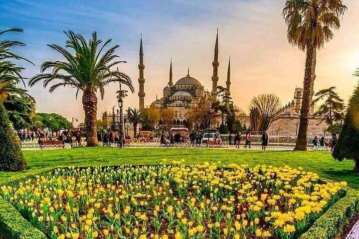 Istanbul Ultra VIP Private Car Hire with Licensed Driver
