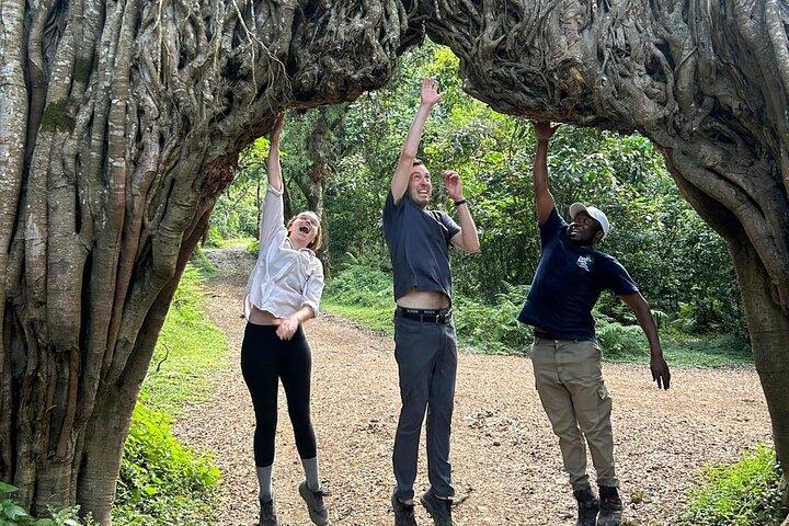 4 Day Budget Meru Trekking Momella Route