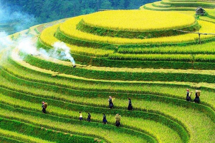 Sapa 2 Days 1 Night Homestay Motorbike Tour