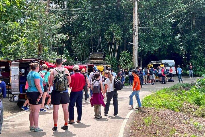3-Day Chiang Mai Jungle Trek and Bamboo Rafting
