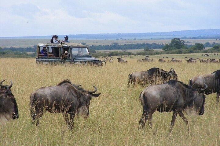 Private Nairobi National Park Wildlife Day Safari