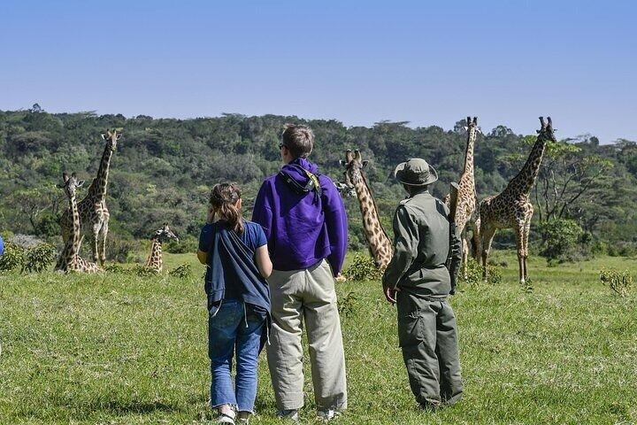Private Lake Naivasha & Hell’s Gate Day Safari