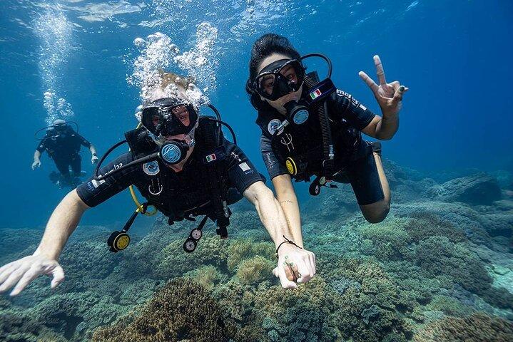 Nha Trang Scuba Diving Experience Explore Colorful Coral Reefs