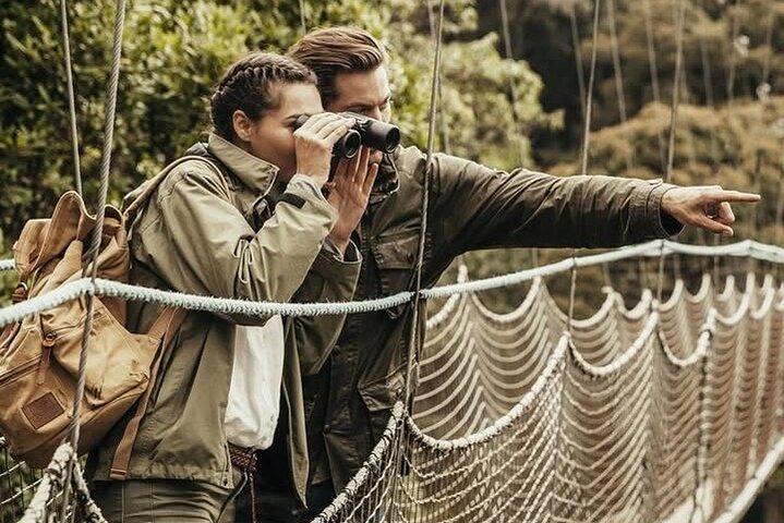 2 Days 1 Night Nyungwe Chimpanzees, Canopy, King Palace &Tea tour