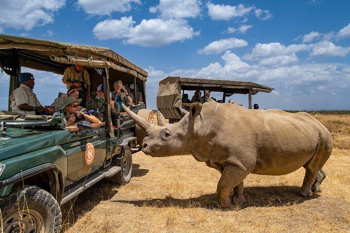 From Nairobi Ol Pejeta Conservancy Private Day Tour