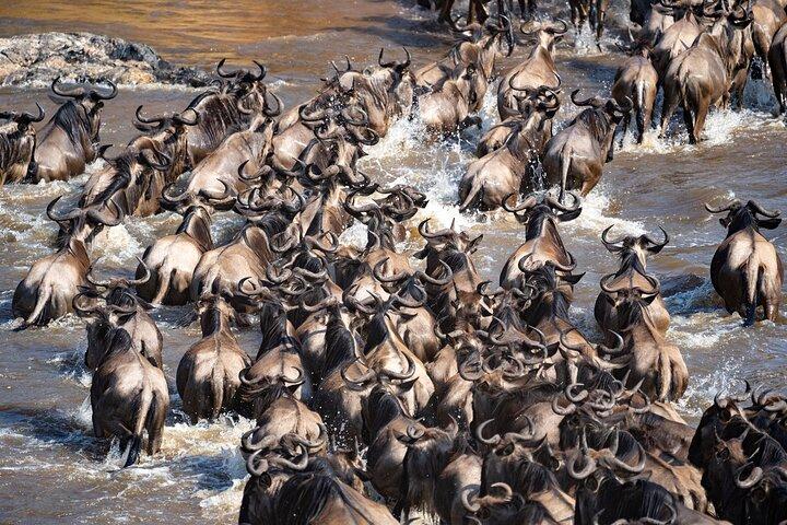 3 Days Masai Mara Crossing