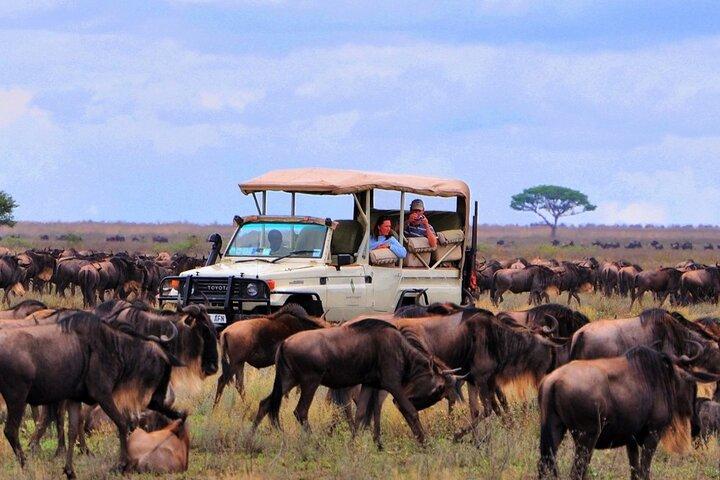 Explore Arusha in 7 Days Adventure from Nairobi