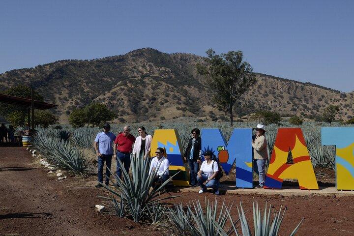 full day Tequila tour visiting artisanal distillery and downtown.