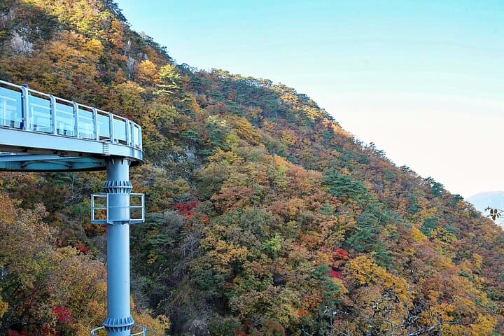 Nami Island, Cable Car, Garden of Morning Calm Panoramic Tour