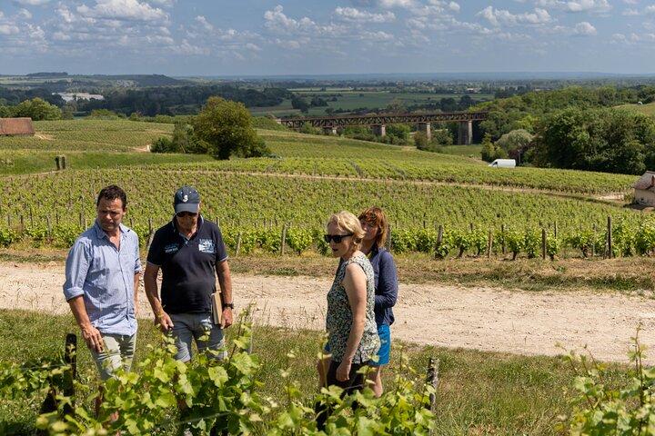 Day Trip to the Sancerre and Pouilly Vineyards