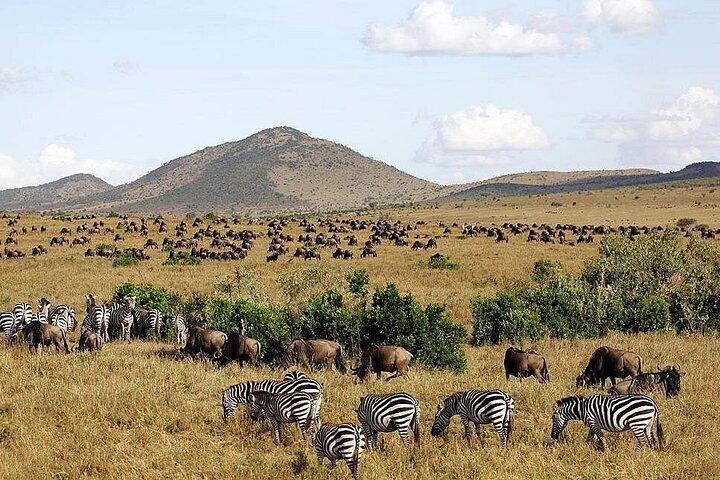 3 Days, 2 nights Maasai Mara Guided Private Safari