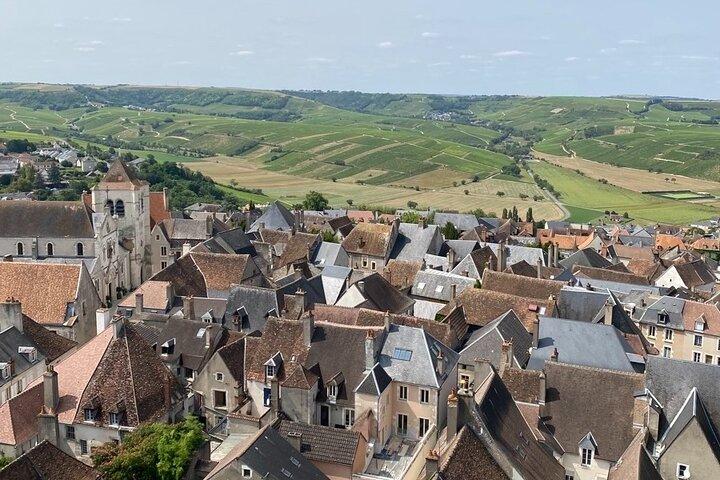 Day Trip to the Sancerre and Pouilly Vineyards