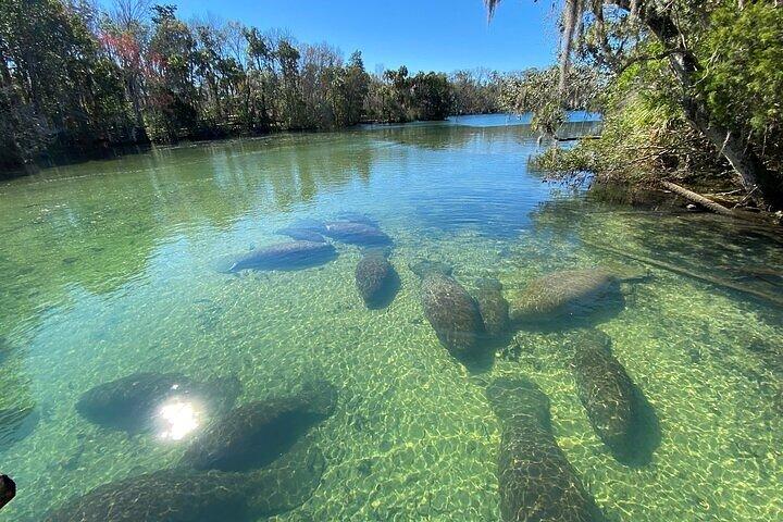 Crystal River Boat and Nature Tour