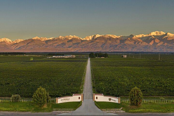 Private Uco Valley Tour paired Lunch, Wine Tastings from Mendoza
