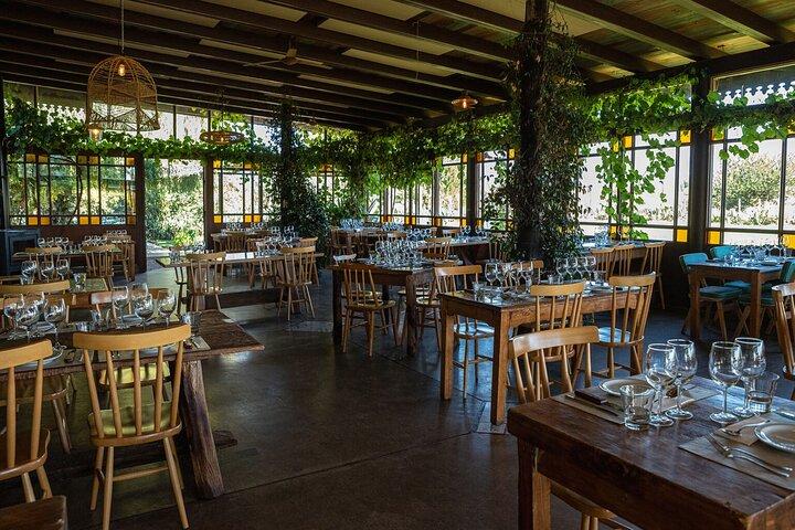 Private Uco Valley Tour paired Lunch, Wine Tastings from Mendoza