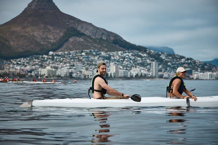 Dolphin And Ocean Wildlife Kayaking Adventure on Promenade