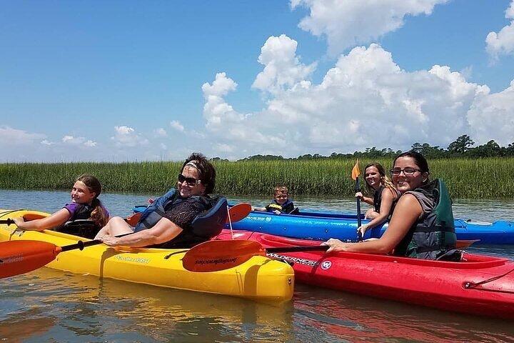 2 Hour Kayak Hilton Head Dolphin and Nature Tour