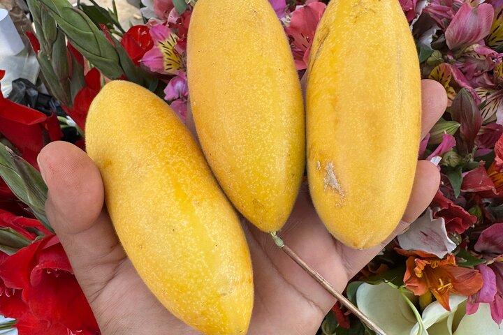 AUTHENTIC OAXACA CULTURAL FOOD TOUR, eat like a local.
