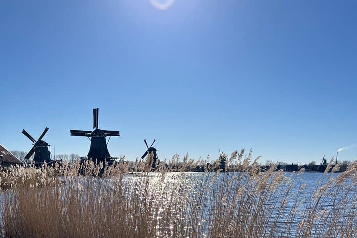 Tulips and Windmills Private Tour from Amsterdam