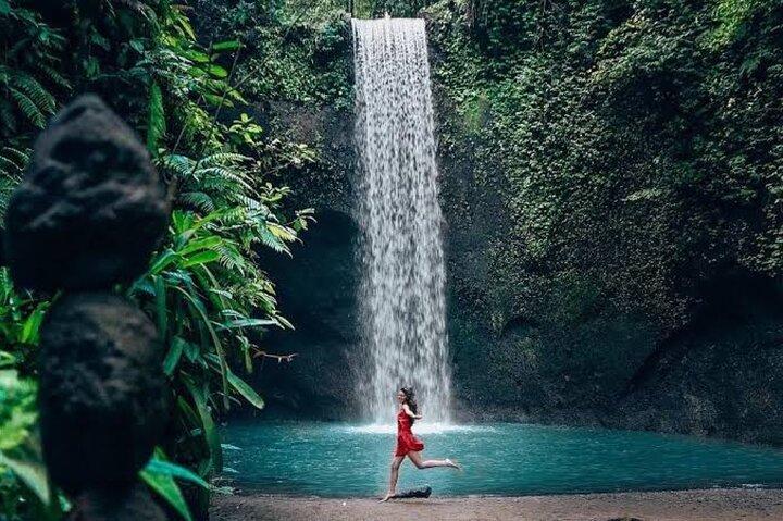 Private Day Tour To Waterfalls And Ubud Sightseeing