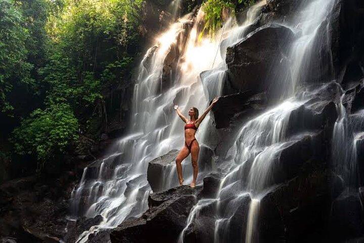 Private Day Tour To Waterfalls And Ubud Sightseeing