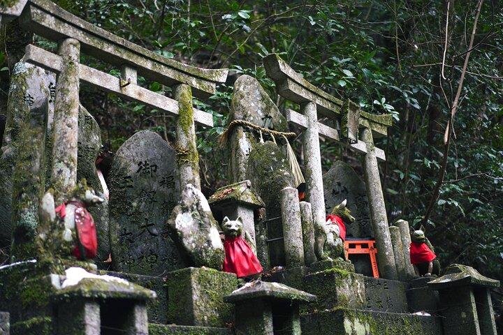 1-Day Kyoto and Nara Highlights Day Trip with a Private Car