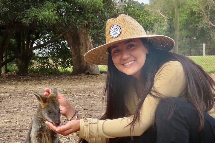 Phillip Island Penguin Parade and Wildlife Tour from Melbourne