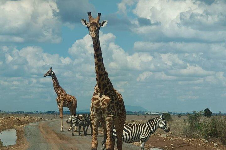 Nairobi Park, Giraffe Center,Beads Center and Karen Blixen Museum