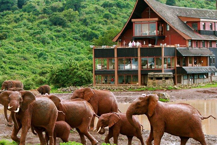 5 Days Tour Aberdares, Ol Pejeta and Samburu