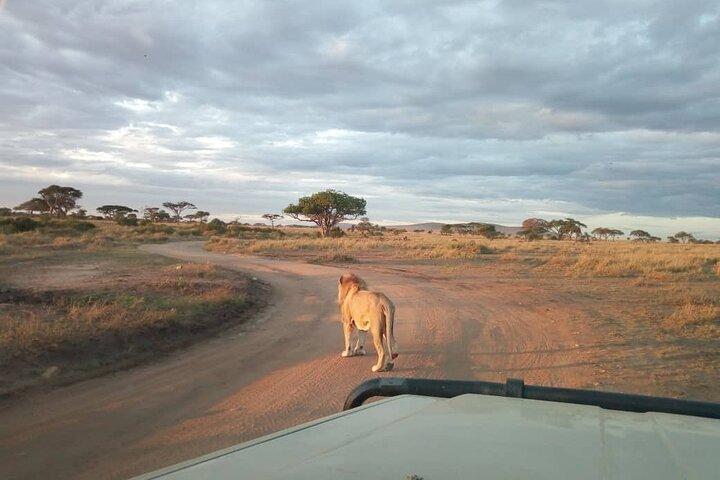 Private 6 Day Arusha Adventure Tour by 4WD