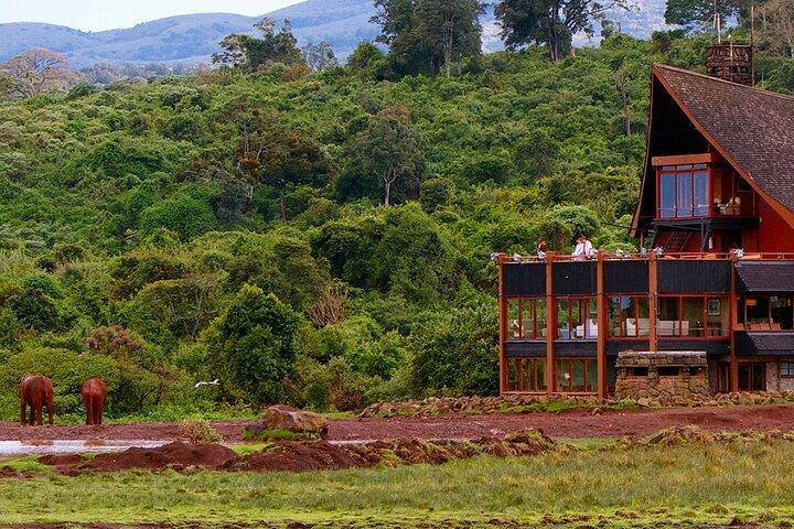 6 Days Rhino Safari to Ol Pejeta Samburu Solio and Aberdares