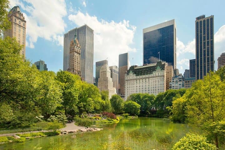 VIP Central Park Experience Tour with photos 50min~Skip the line