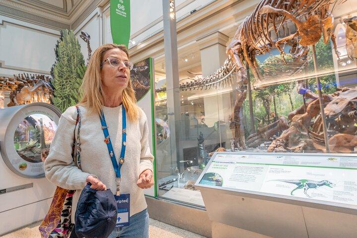 Smithsonian "Big 3" Highlights Tour (Air & Space Entry Included)