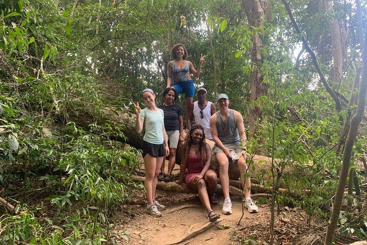 Tijuca Rainforest Waterfalls, Wildlife, Caves and Rio Scenic View