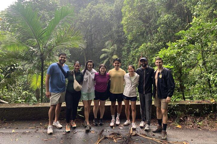 Tijuca Rainforest Waterfalls, Wildlife, Caves and Rio Scenic View