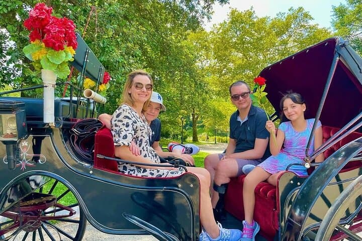 VIP Central Park Experience Tour with photos 50min~Skip the line