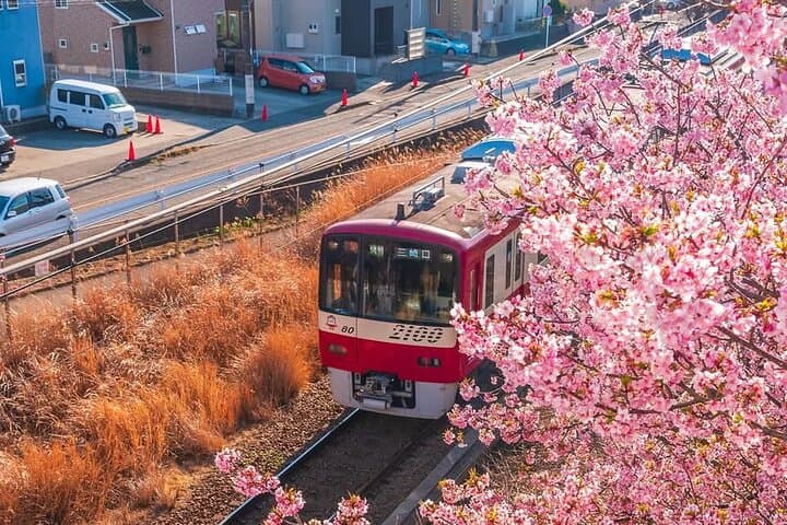 Best of Tokyo Private Tour English Driver &Customizable Itinerary