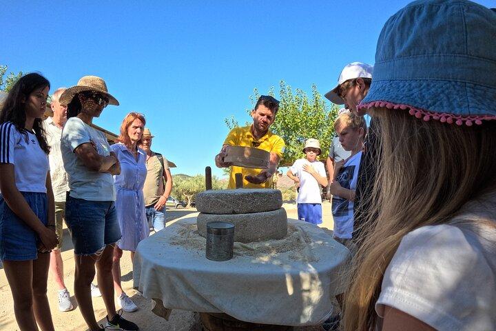 Full-Day Jeep Safari Tour with Cooking Lesson