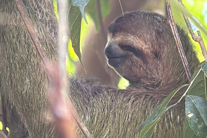 Manuel Antonio National Park Guided Tour ENTRY FEE INCLUDED