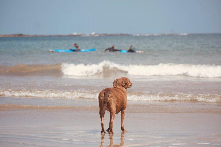 Private Tamarindo Costa Rica Surfing Class