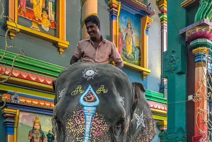 Exclusive Day Tour from Chennai to Discover Pondicherry