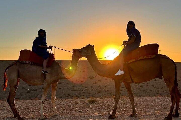 Camel ride in oasis Desert Marrakech