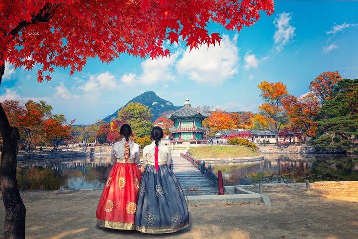 Private Tour: Seoul or DMZ