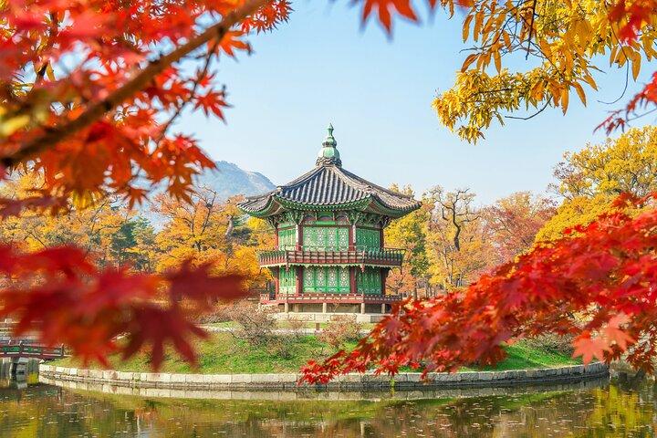 Private Tour: Seoul or DMZ