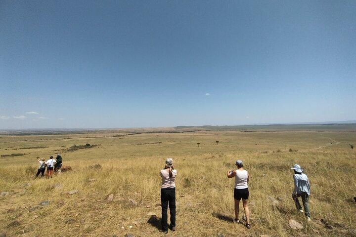 3-Day Maasai Mara Shared Safari from Nairobi