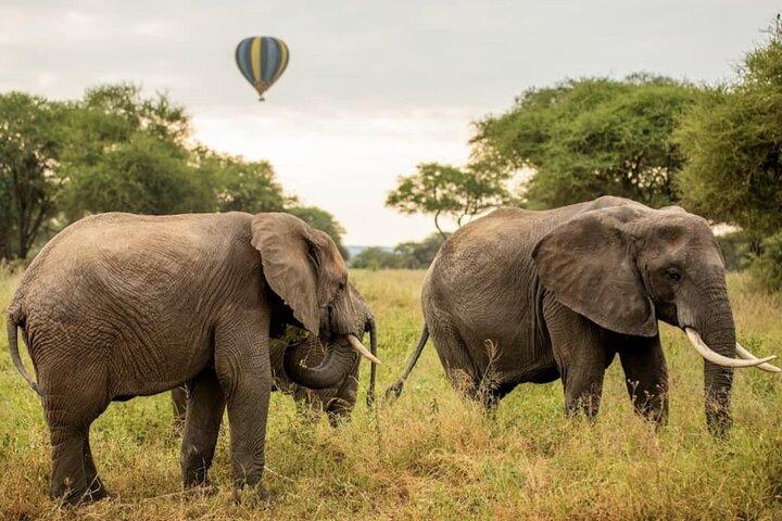 4 Days Private Safari to Serengeti and Ngorongoro